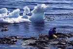 オホーツクの流氷、海明けを喜ぶ