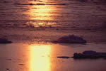 オホーツクの流氷、氷海の落日
