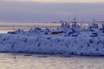 オホーツクの流氷、凍る鱒浦港