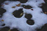 秋の大通公園レポート、初雪の残像