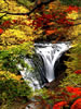 滝の情景、白扇の秋