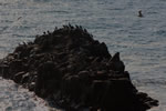 オフユミサキ、暮れる岩礁