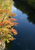 豊平川、百松橋の秋