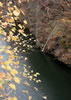 豊平川、百松橋の秋景
