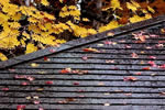 紅桜公園の秋、屋根化粧