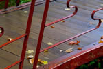 紅桜公園の秋、欄干