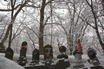 初雪、円山公園、日暮れ