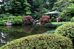 初夏の札幌、百合が原日本庭園