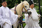 札幌祭りの御輿、白馬白装