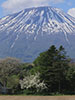 羊蹄山を撮る、留寿都富士