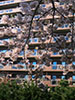 ココロードの四季、桜ウインドウ
