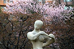 札幌の桜風景、オブジェ　5