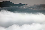 霧の風景