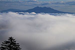 霧の風景