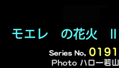 シリーズ番号191番　モエレの花火　II