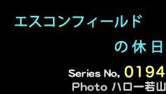 シリーズ番号194番　エスコンフィールドの休日